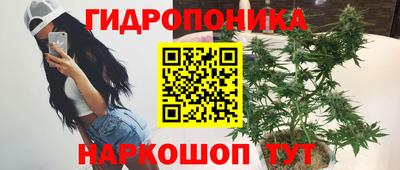 мяу мяу мука Краснознаменск